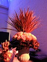 Opernball 2009   163